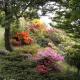 Glenwhan Gardens