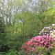 Dunskey Gardens