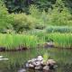 Dunskey Gardens