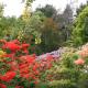 Glenwhan Gardens