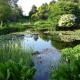 Glenwhan Gardens